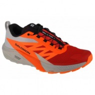  salomon sense ride 5 470462