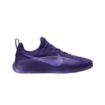 nike lebron tr 1 purple rain fj6151500 σε προσφορά