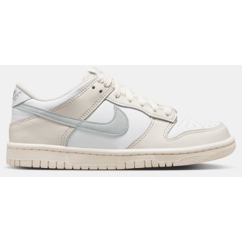 nike dunk low (gs) (9000190919_78910)