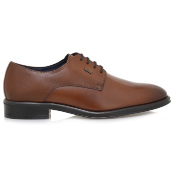 oxfords σχέδιο t593s2022