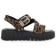  flatforms σχέδιο: w45373323