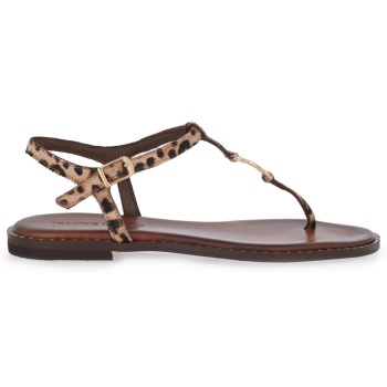 flats σχέδιο w453d1171