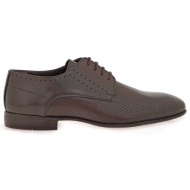  evening σχέδιο: w553h3681