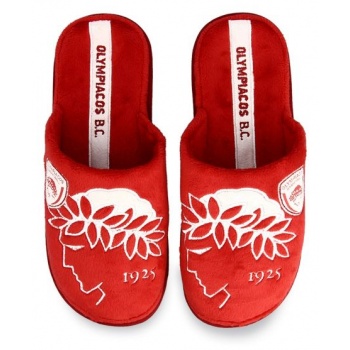 boy`s home slippers olympiacos bc  σε προσφορά
